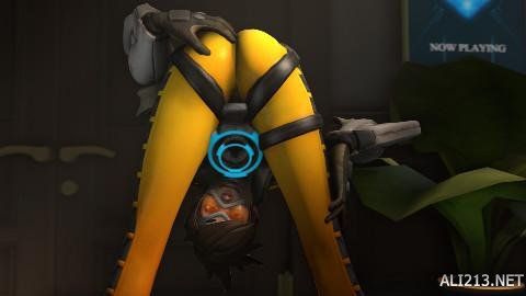 尽管球队阵 尽管球队阵