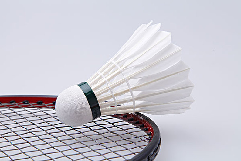 东泰山队的 东泰山队的