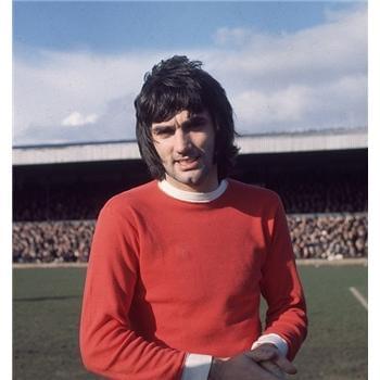 群体的生活 群体的生活