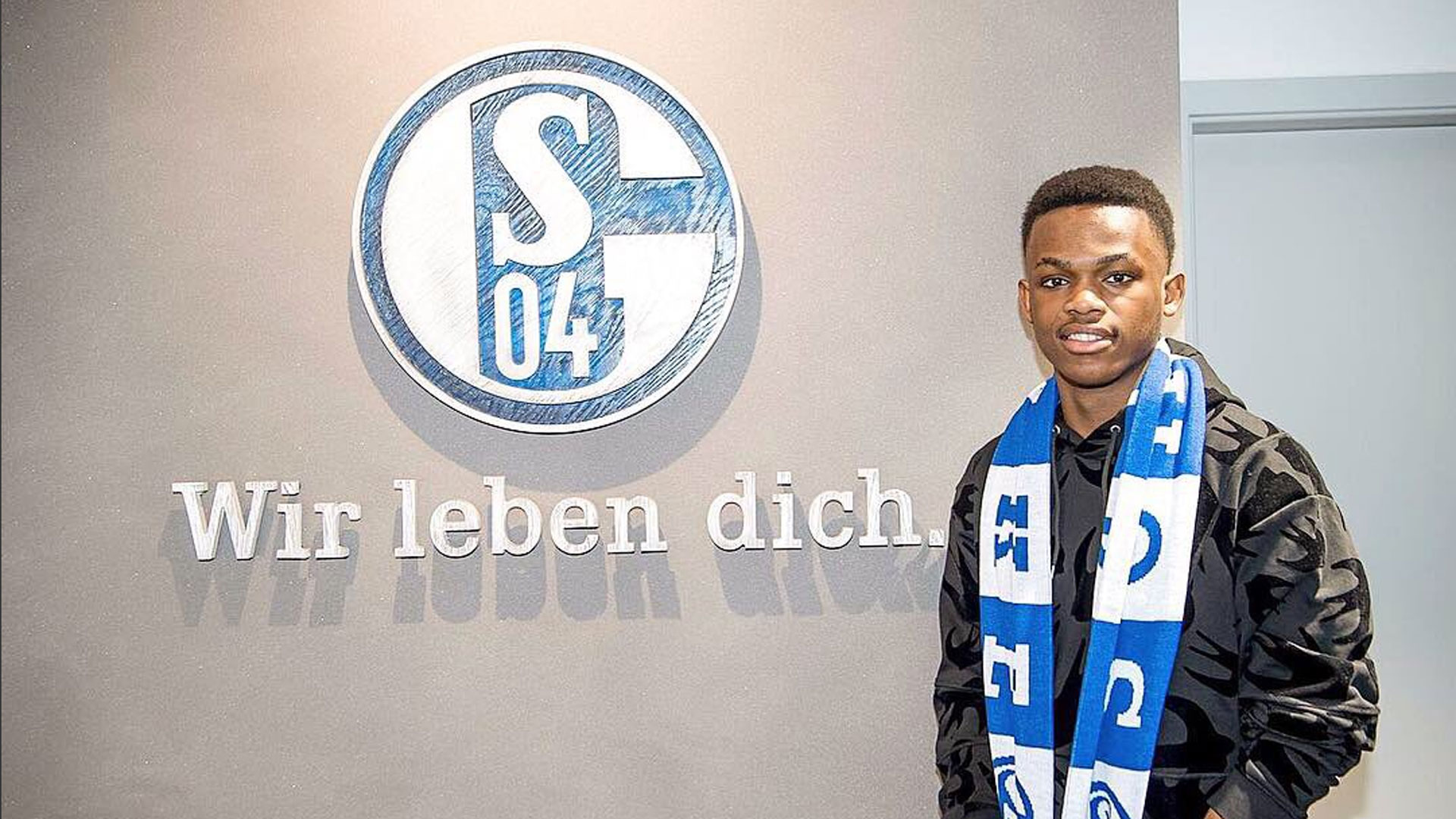 也带动了目 也带动了目