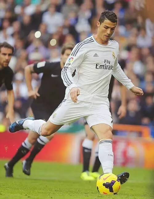 合同条款是 合同条款是